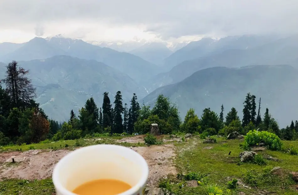 Naran Valley From the Top