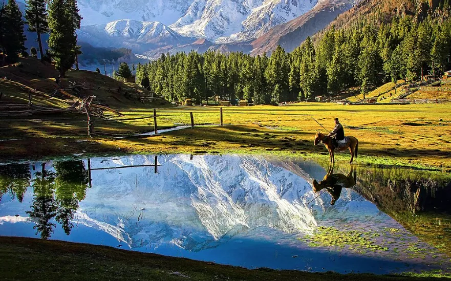 Heaven on Earth - Fairy Meadows