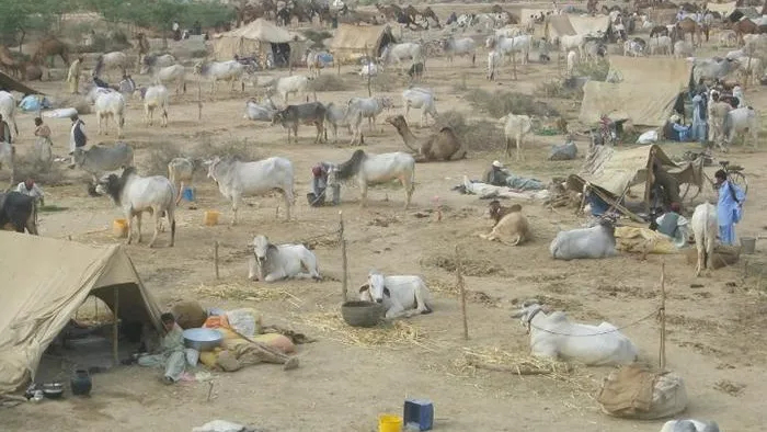 Balochistan’s Historic Celebration - Sibi Mela