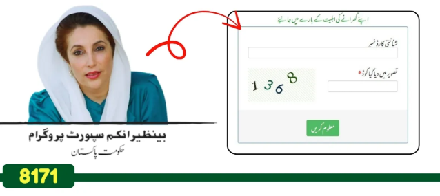 Overview of the 8171 Ehsaas Registration Portal