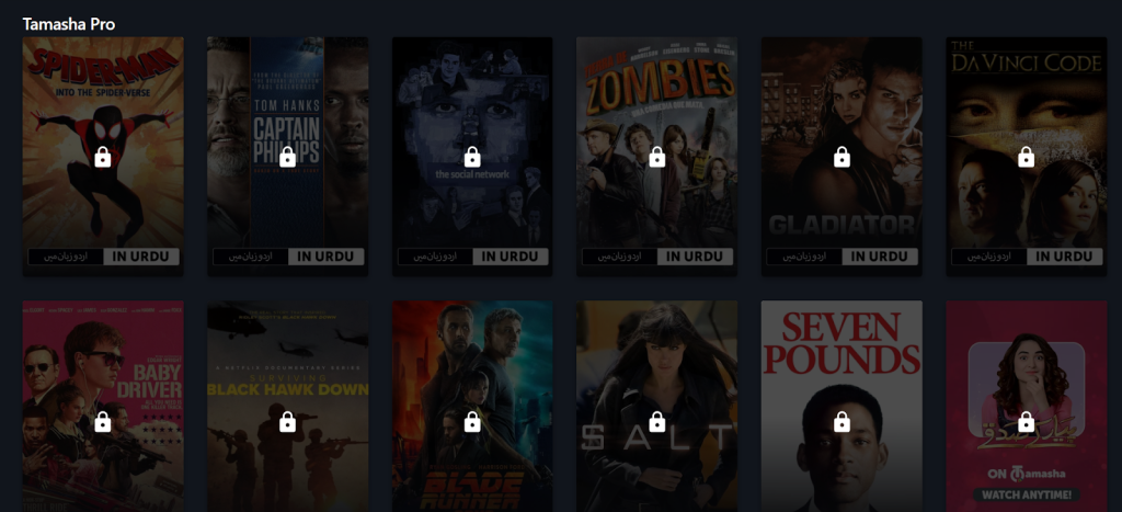 Subscription Plans and Accessibility