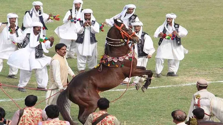 Pride of Punjab - National Horse and Cattle Show