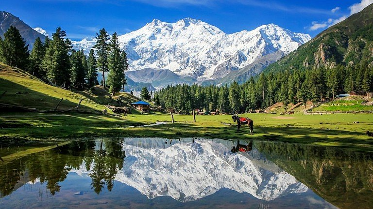Gilgit-Baltistan - Fairy Meadows